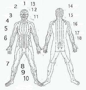 acupuncture meridians