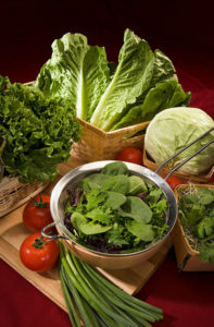 Good Nutrition with a plant-based diet - Magnesium - Organic leafy greens