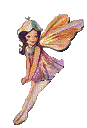 fairy products & books