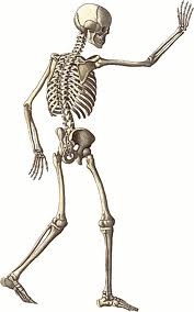 Save your bones