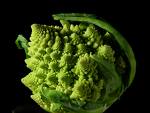 live green