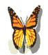 EFT Therapy - improving emotional habits