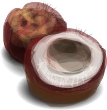 Coconut fat can help reduce body fat