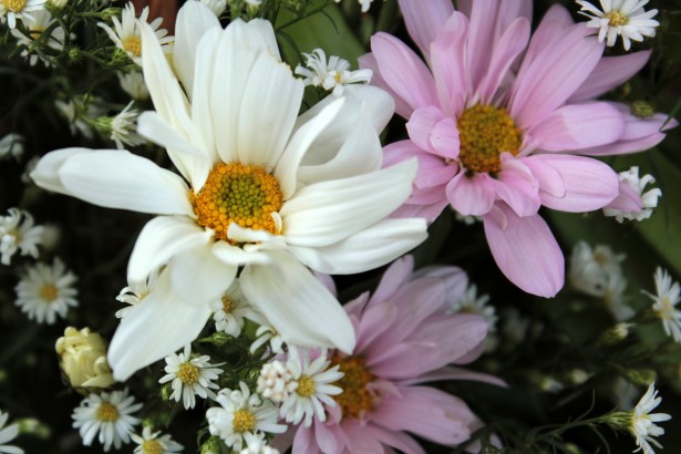 May flowers!