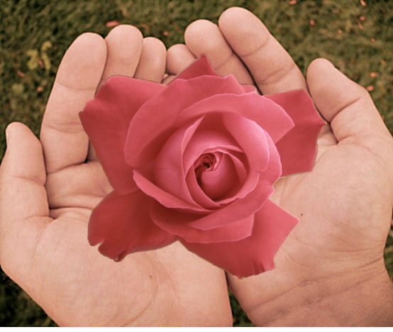 Amazing power of Reiki
