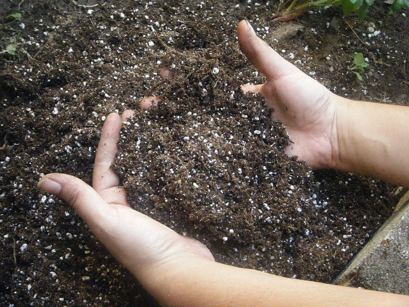 Protect our soil