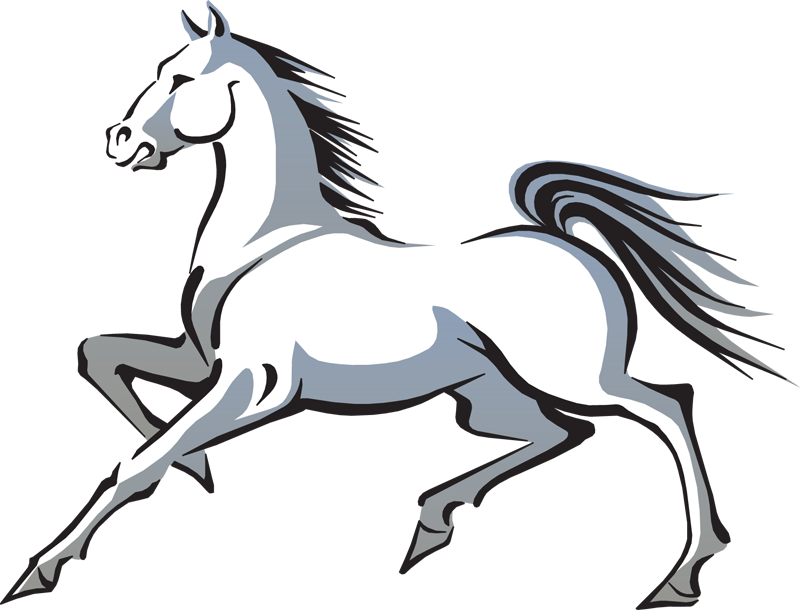 Year of the horse