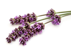 Natural first aid remedies5
