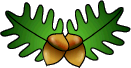 oak leaves