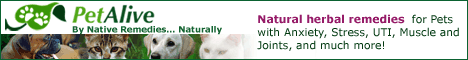 natural pet remedies