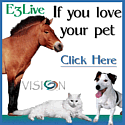 fresh frozen blue-green algae for pets