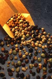 list of gmo foods to watch out for