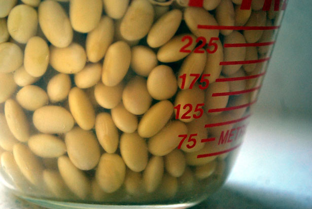 Watch out for soy dangers!