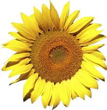 Balance your vitamin D with Magnesium